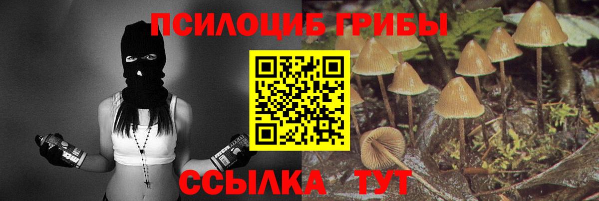 Псилоцибиновые грибы Magic Shrooms Зерноград